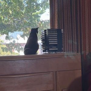 Meet your Posher, Matthew